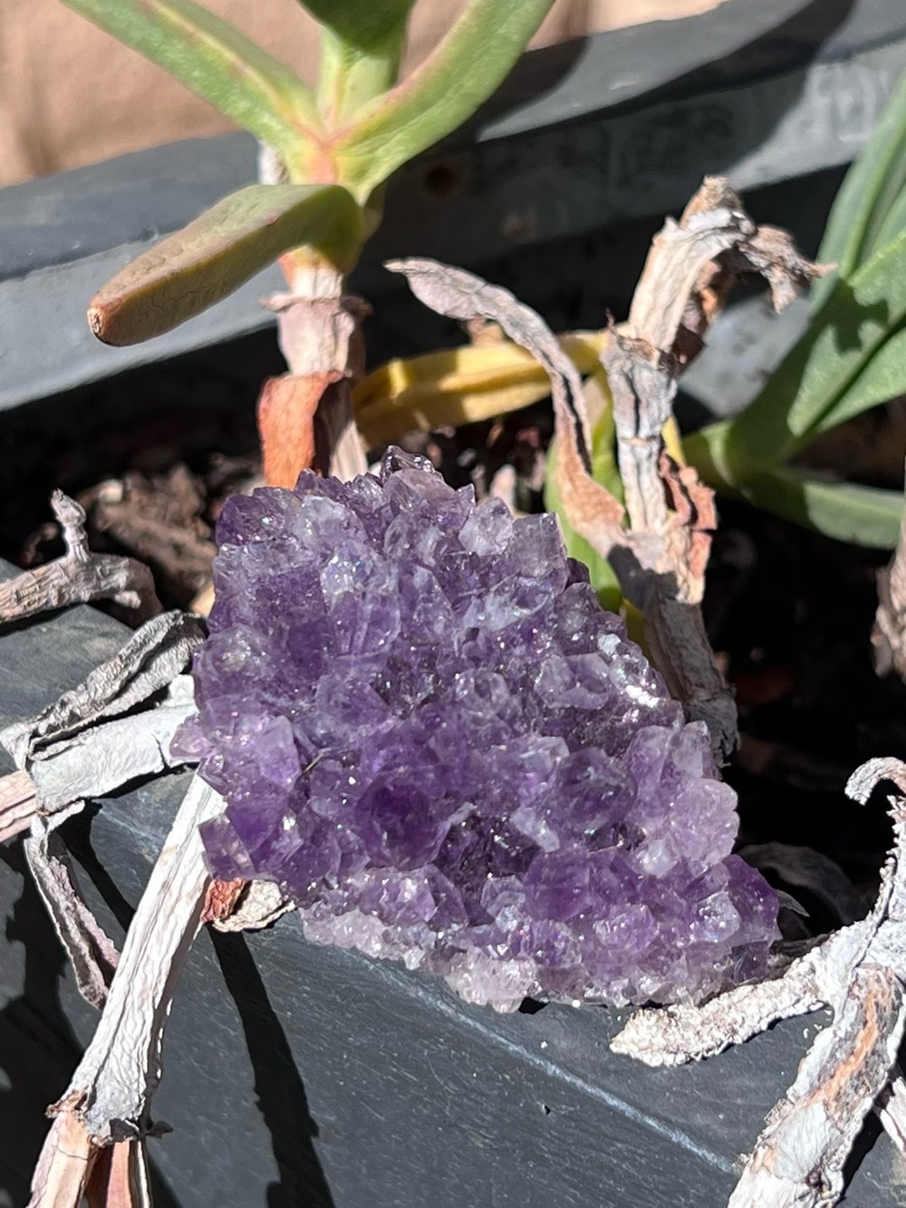 Natural Amethyst Crystal Cluster - Deep Purple Geode